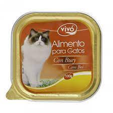 ALIMENTO GATO VIVO TARRINA BUEY 100G