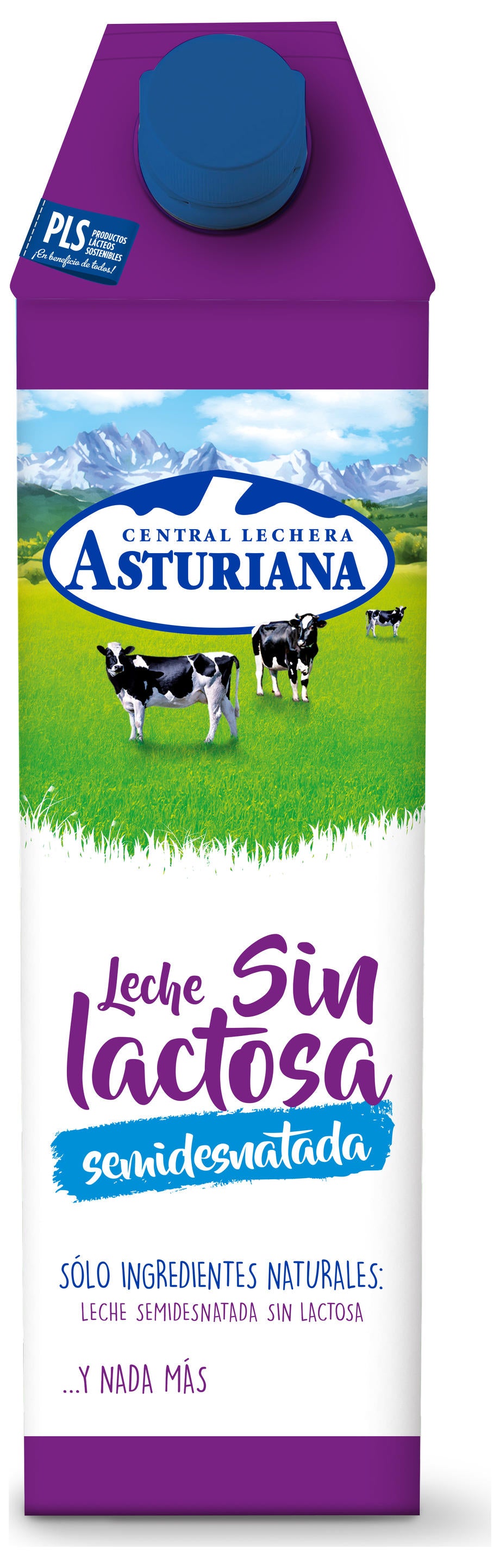 LECHE SIN LACTOSA SEMIDESNATADA ASTURIANA 1L